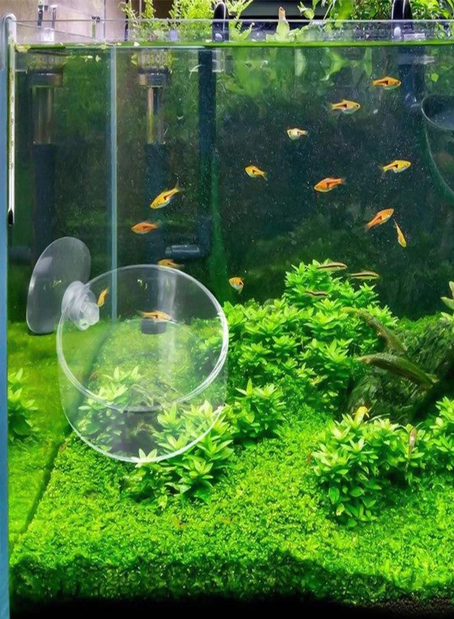 Capiant 2 Pack 60mm Aquarium Shrimp Feeder Dish with Suction Round Clear Fish Tank Food Tray Container Feeder Bowl Prevent Food Spilling - Image 3